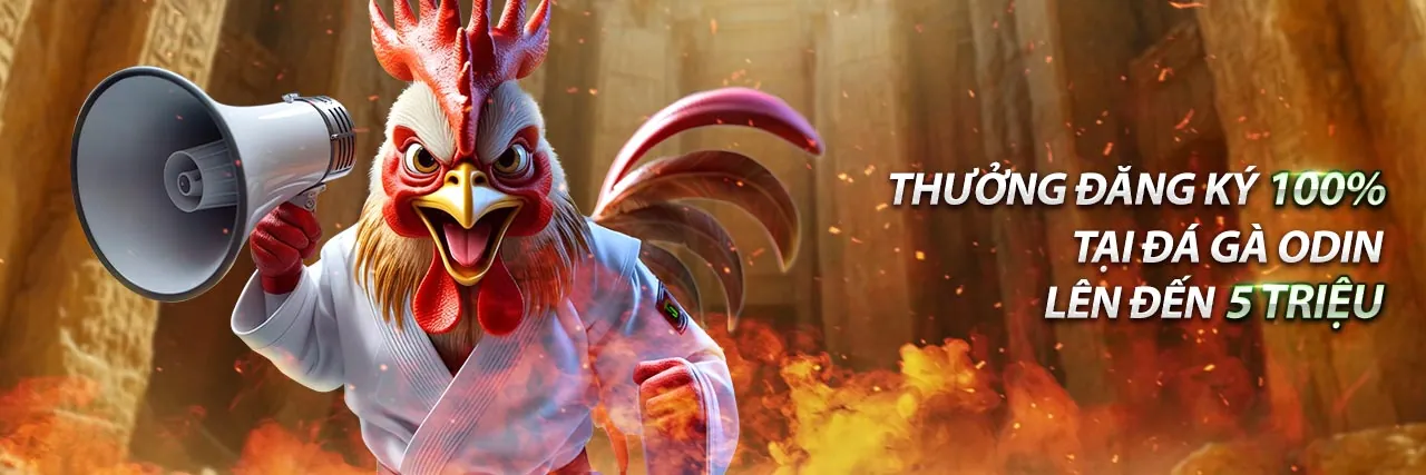Banner khuyến mãi đá gà hấp dẫn từ 0k365 win